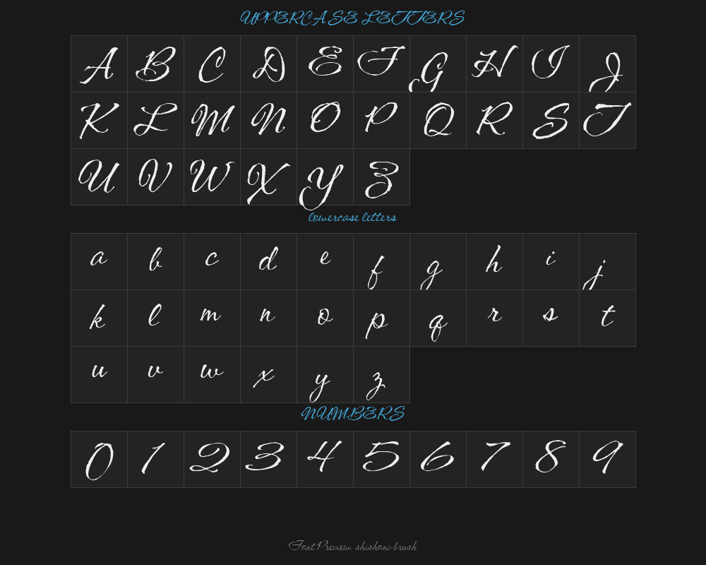 shishoni-brushPreview