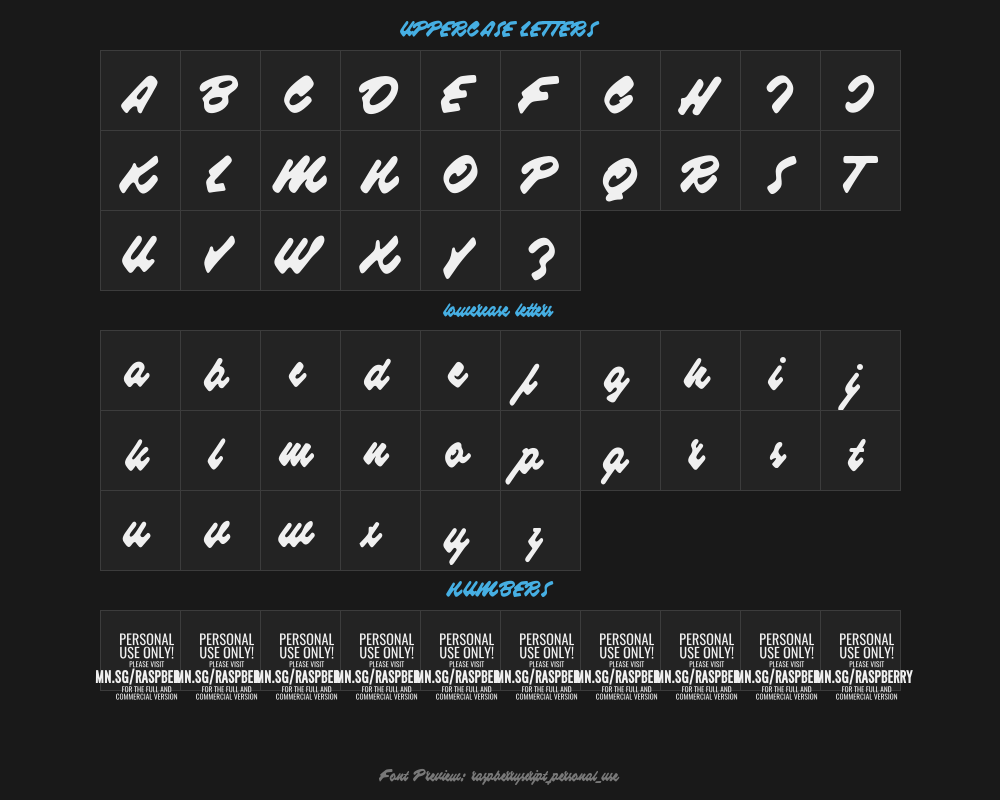 raspberryscript_personal_usePreview