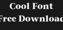 stoneserifboldPreview