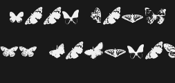 Font preview