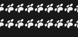 Font preview