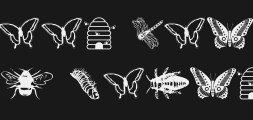 wminsects1Preview