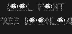 rustms__Preview