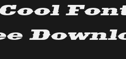 saddlebagextended-italic-1-Preview