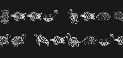 kr-turtles-for-juliePreview