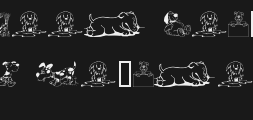 doggonPreview