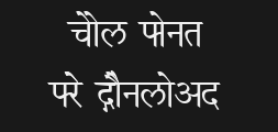 hindi-vijayPreview