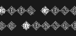 jfivylacePreview