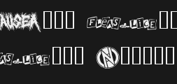 punkrawkPreview image