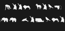 animalsPreview