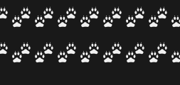 Font preview