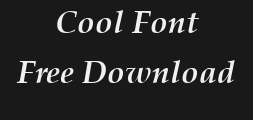 palton-bolditalicPreview