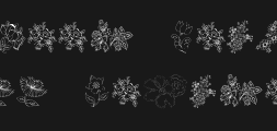 kr-floral-color-me-2Preview