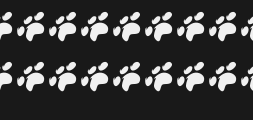 Font preview