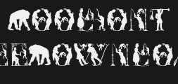 mkapishPreview