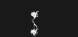 concerto-ssiPreview