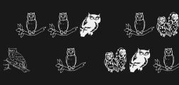aez-owls-for-traciPreview image