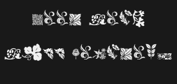 rough-flowers-regularPreview